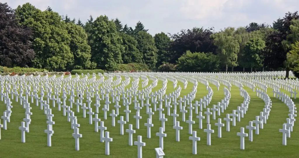 Cemetery Near Green Trees