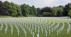 Cemetery Near Green Trees