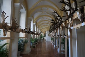 2017-07-Echappee-Baltes-026