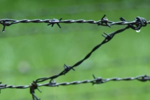 2017-07-Pologne-078