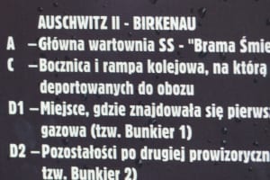 2017-07-Pologne-081