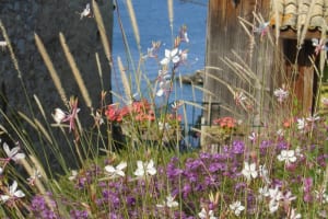 2017-09-Savoie-029