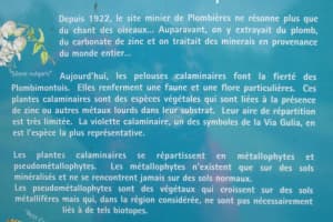 2018-04-Plombieres-016