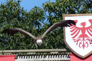 2018-08-Puy-du-Fou-052