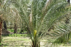 2019-03-Dubai-147