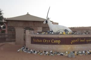 2019-03-Dubai-169