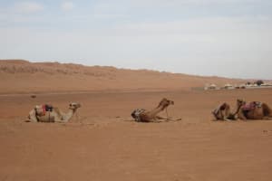 2019-03-Dubai-173