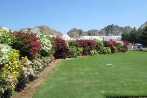 2019-03-Dubai-249