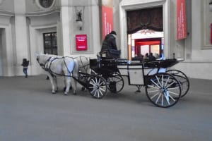 2019-12-Danube-029