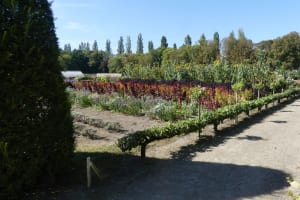 2021-09-La-Touraine-011