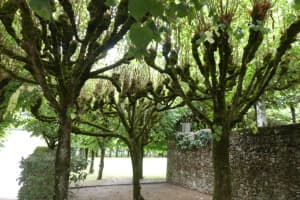 2021-09-La-Touraine-043