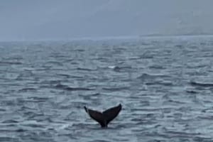 2022-06-Islande-005