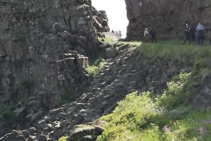 dig