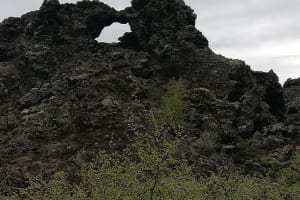 dig