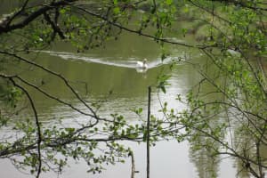2018-04-Plombieres-031
