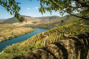 Landscape Photography of Brown and Green Mountain Ranges