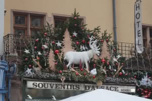 2018-11-Alsace-037