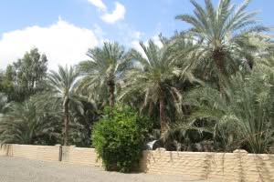 2019-03-Dubai-112