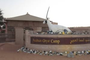 2019-03-Dubai-169