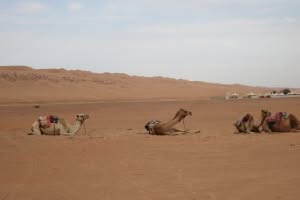 2019-03-Dubai-173