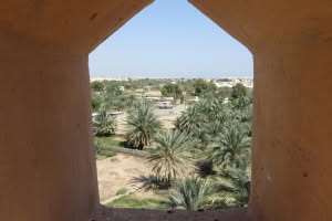 2019-03-Dubai-204