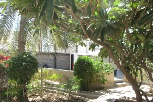 2019-03-Dubai-243