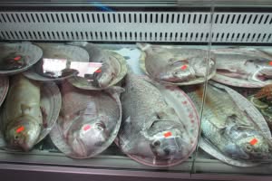 2019-03-Dubai-257