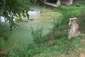 2019-08-Ardennes-013