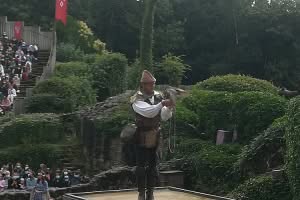 dig